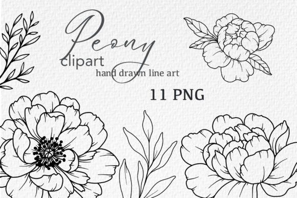 Download Peonies LINE DRAWING, Floral Line Art - Drawing Collection